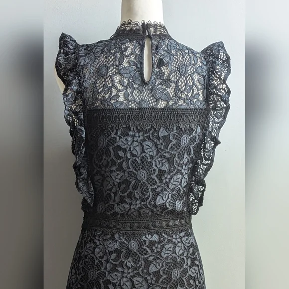 EUC...Beautiful Zara Guipure Lace Dress (with whimsy/goth vibes)  Size Small - Picture 8 of 13